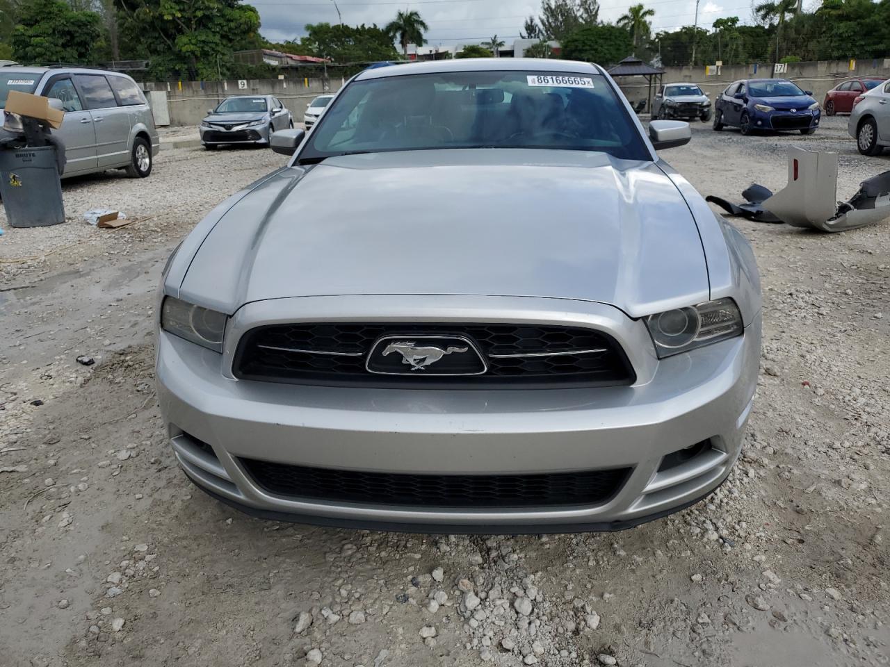Mustang Mustang