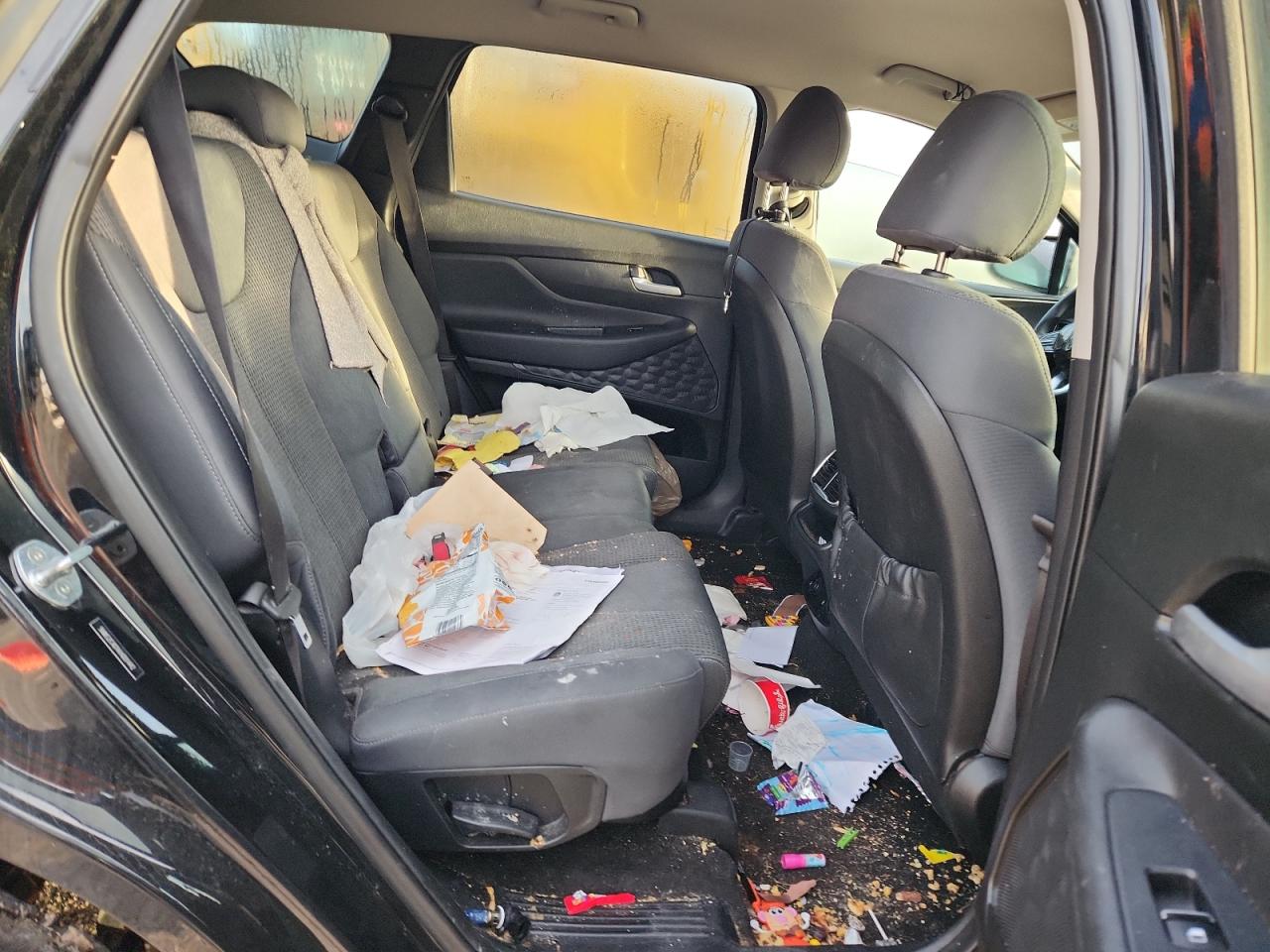 2019 Hyundai Santa Fe Se VIN: 5NMS2CAD1KH001442 Lot: 84396335