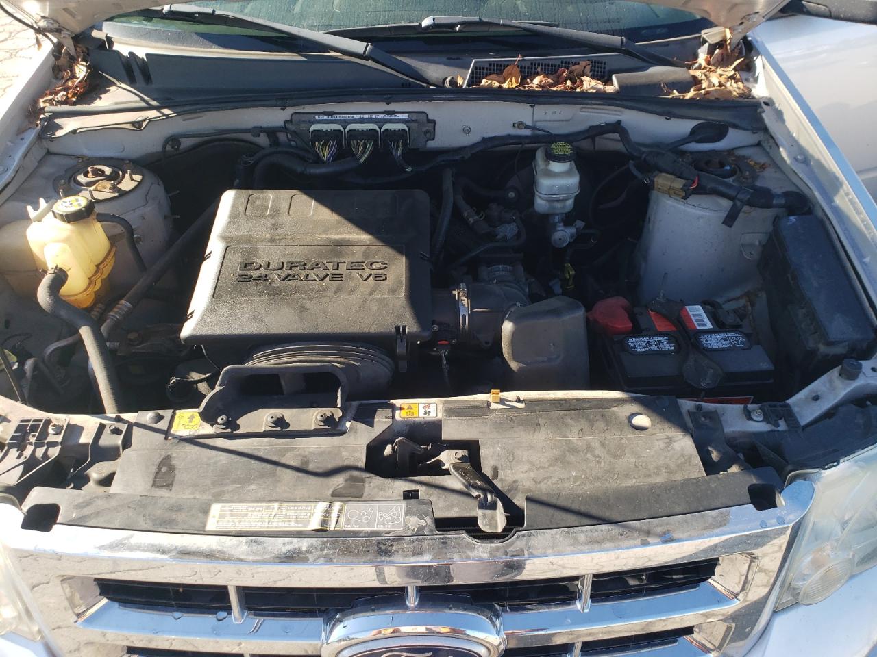 2011 Ford Escape Xlt VIN: 1FMCU9DG5BKA00897 Lot: 81940135