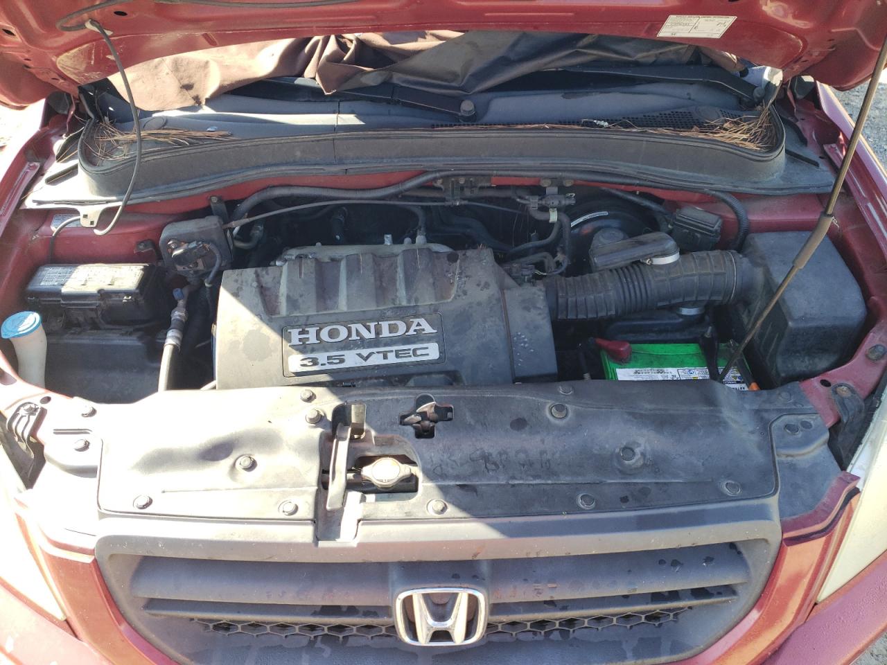2005 Honda Pilot Exl VIN: 2HKYF18735H550490 Lot: 81980275