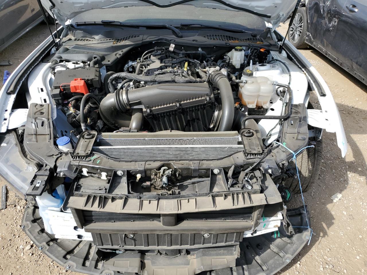 2024 Ford Mustang VIN: 1FA6P8THXR5107956 Lot: 82211305