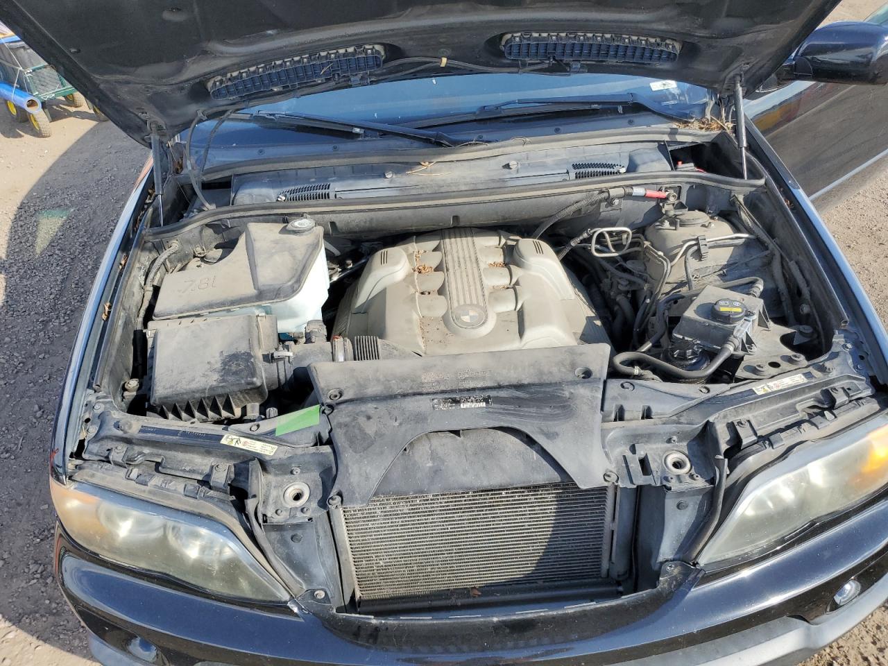 2005 BMW X5 4.4I VIN: 5UXFB53535LV15880 Lot: 84924215