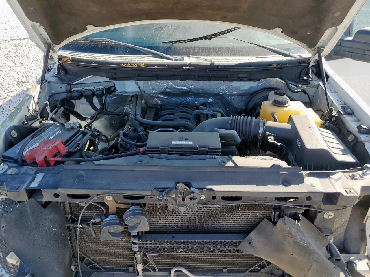 2013 Ford F150 VIN: 1FTNF1CF4DKD29143 Lot: 82369625