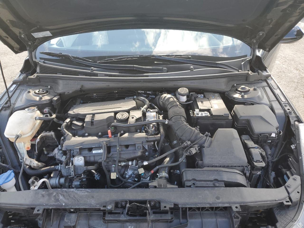 2023 Hyundai Elantra N Line VIN: KMHLR4AF8PU471678 Lot: 82368895