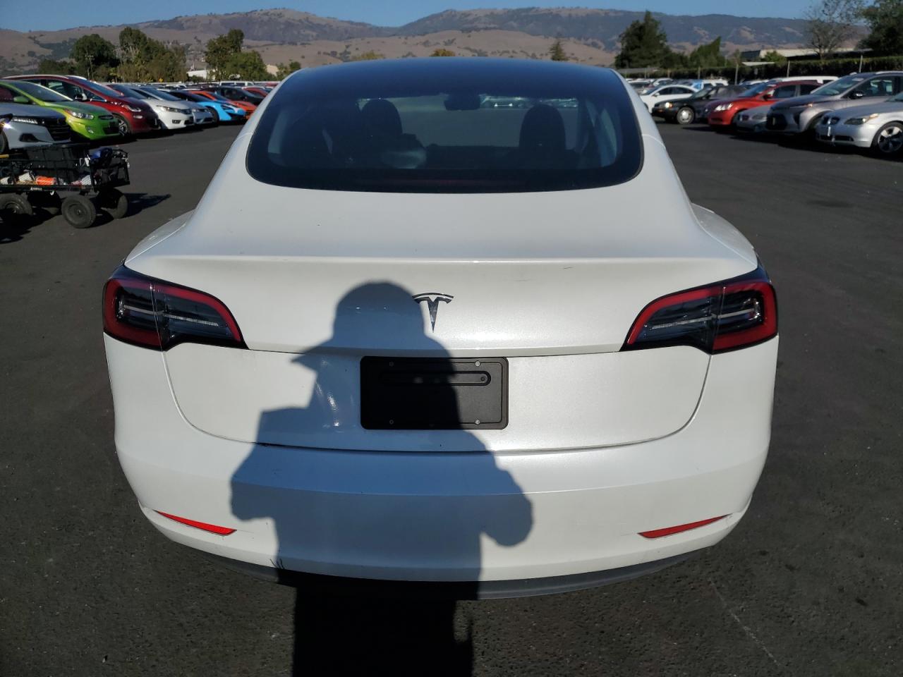 2023 Tesla Model 3 VIN: 5YJ3E1EA1PF710543 Lot: 84808545