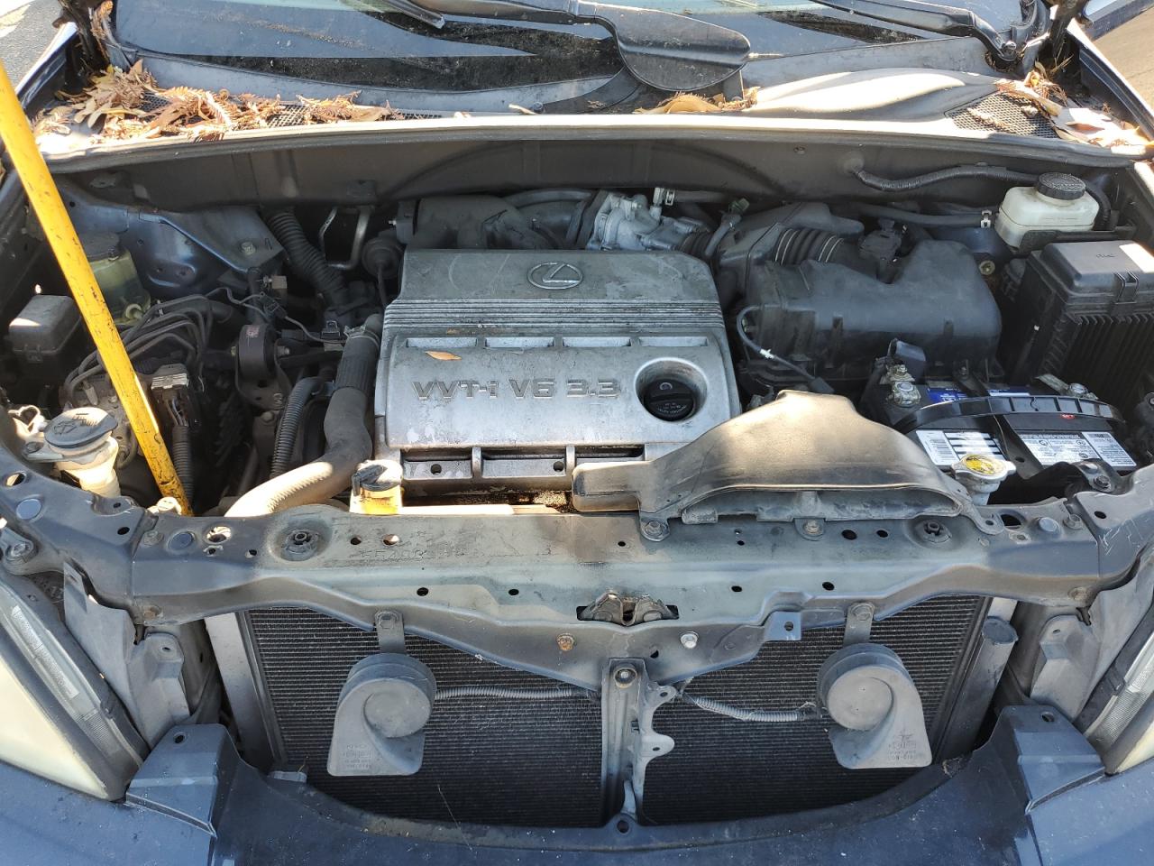 2004 Lexus Rx 330 VIN: JTJGA31UX40020466 Lot: 85719225