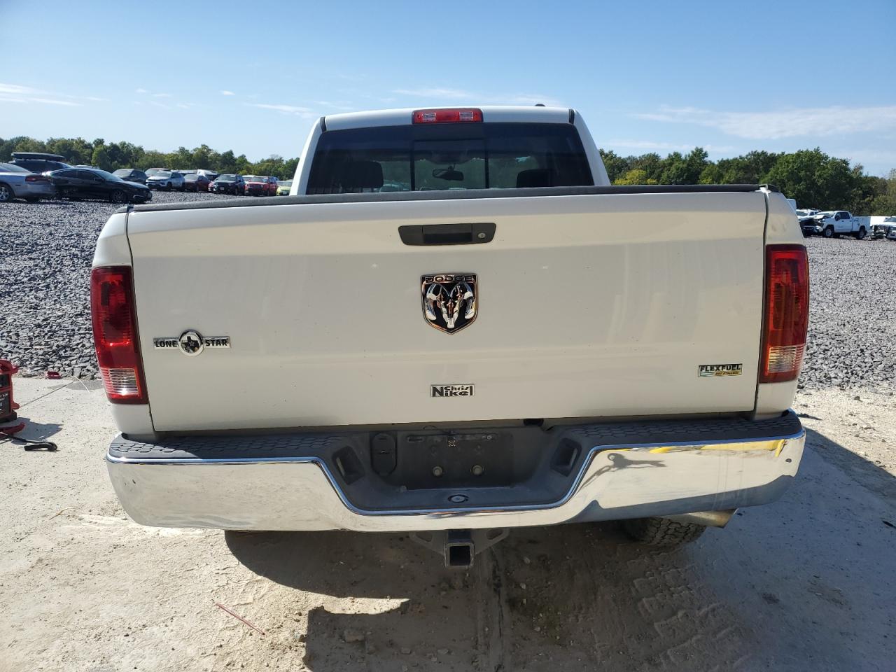 2010 Dodge Ram 1500 VIN: 1D7RB1GP9AS250441 Lot: 82359815
