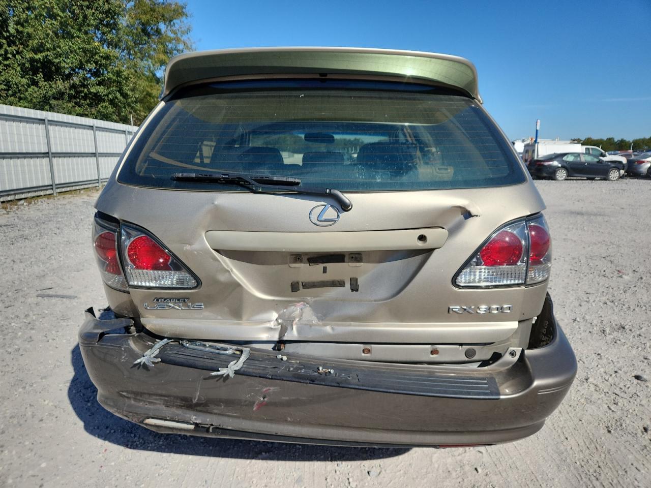 2003 Lexus Rx 300 VIN: JTJHF10U830309016 Lot: 89533755