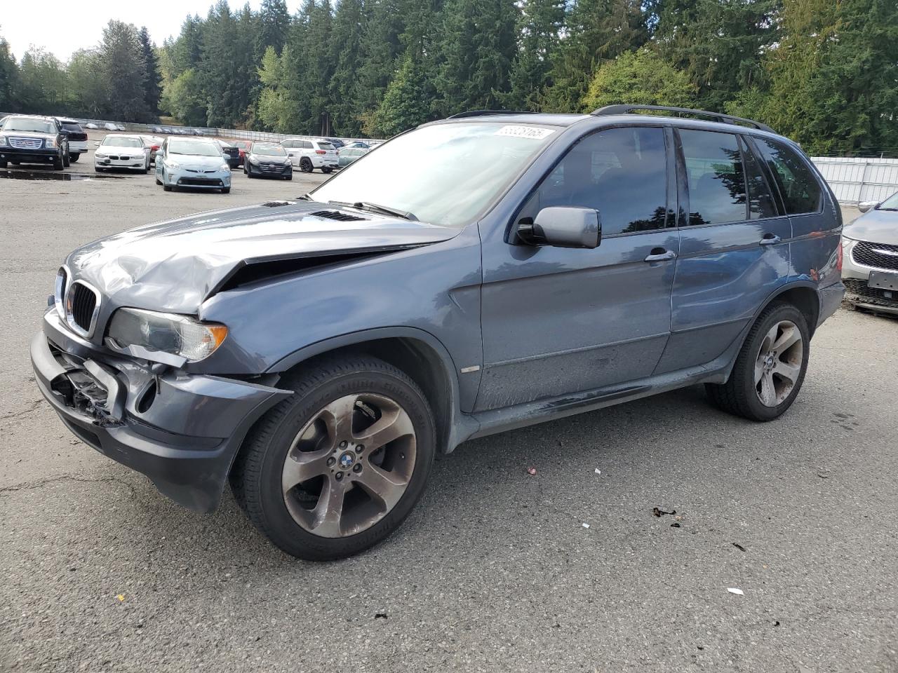 2003 BMW X5 3.0I