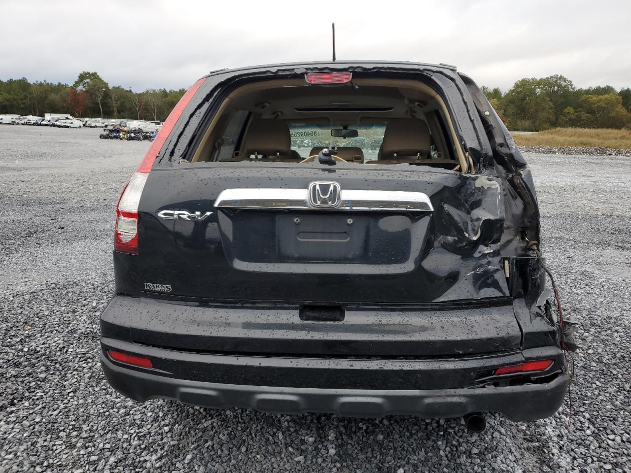 2010 Honda Cr-V Exl VIN: 5J6RE3H7XAL049356 Lot: 85409255