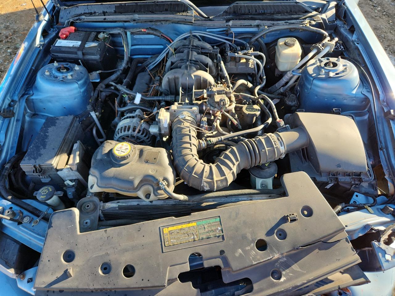 2007 Ford Mustang VIN: 1ZVFT80NX75320707 Lot: 89883865