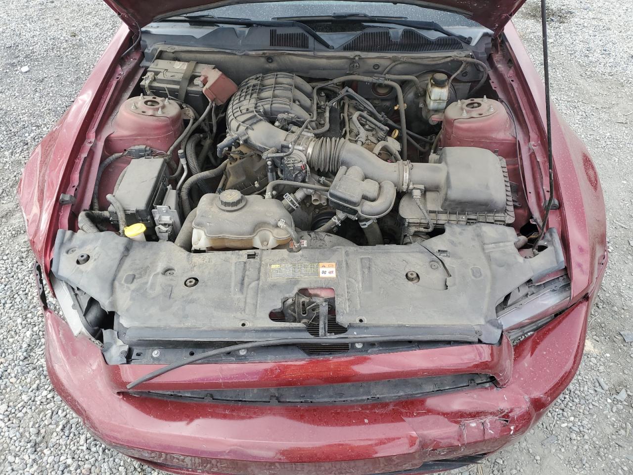 2014 Ford Mustang VIN: 1ZVBP8AM7E5321545 Lot: 82329765