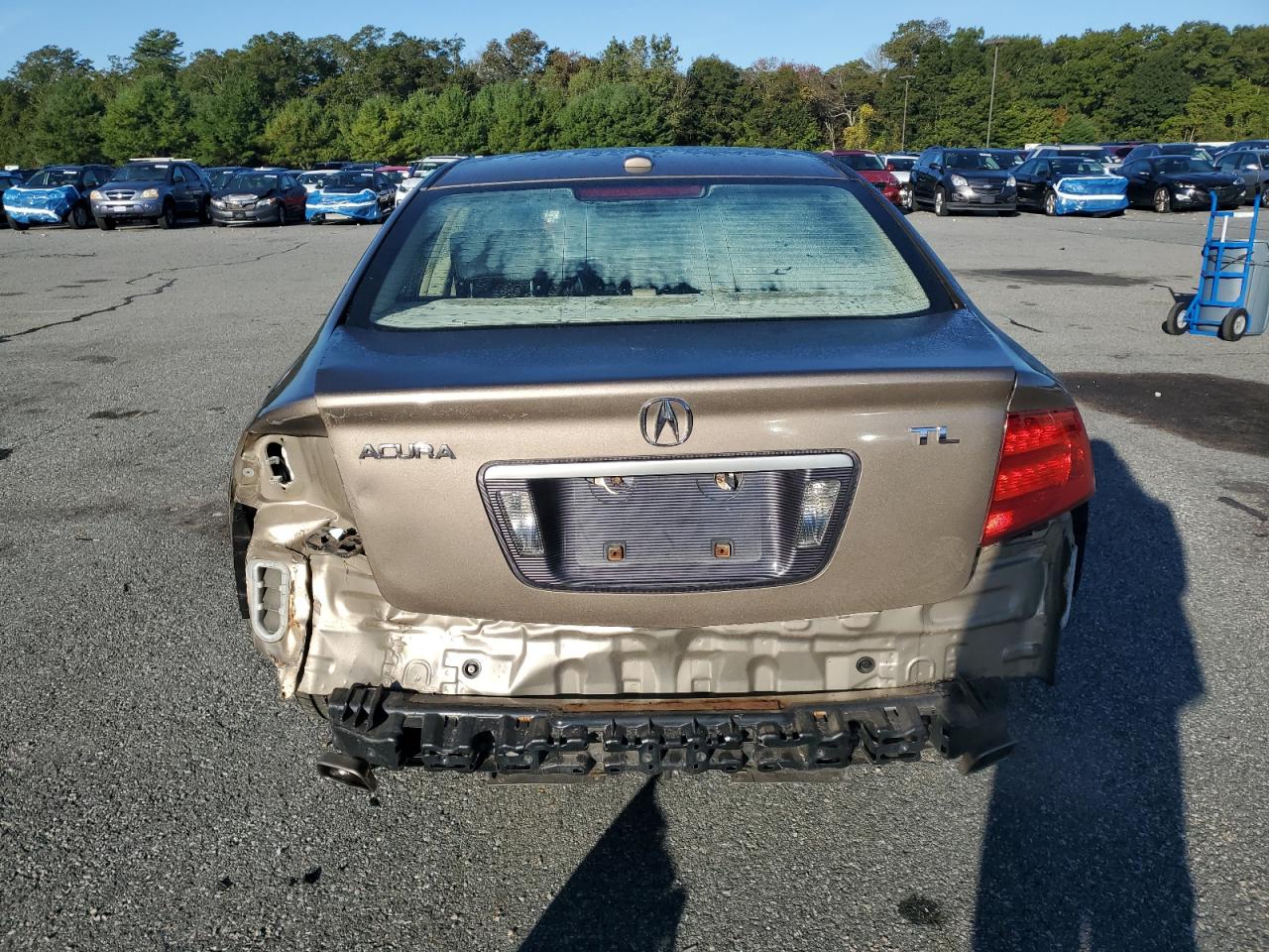 2006 Acura 3.2Tl VIN: 19UUA66236A035856 Lot: 82181255