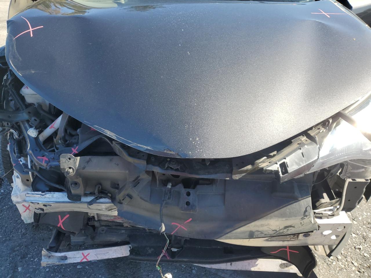 2021 Toyota C-Hr Xle VIN: NMTKHMBXXMR125916 Lot: 81980715