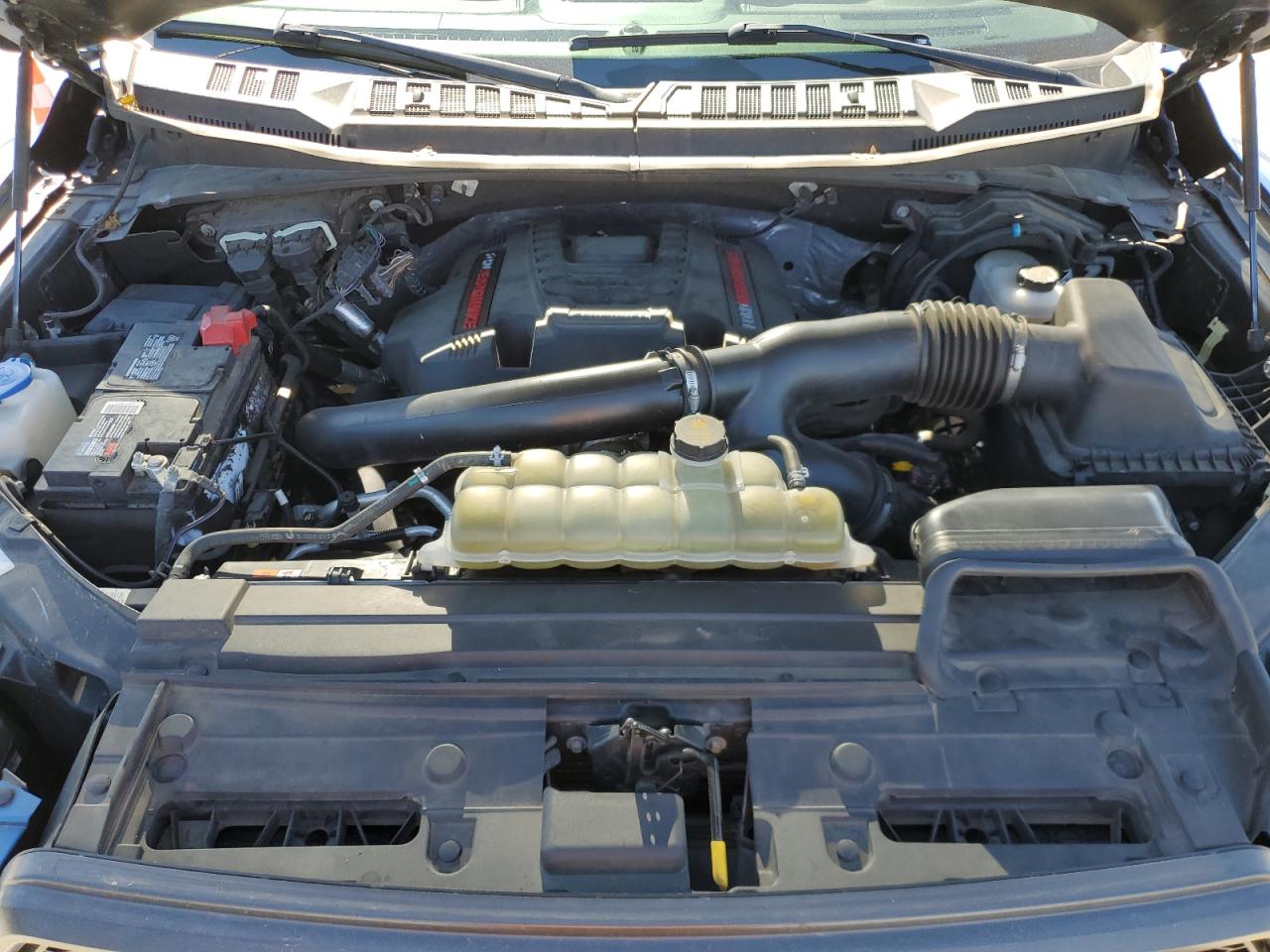 2019 Ford F150 Raptor VIN: 1FTFW1RG6KFC55718 Lot: 86590475