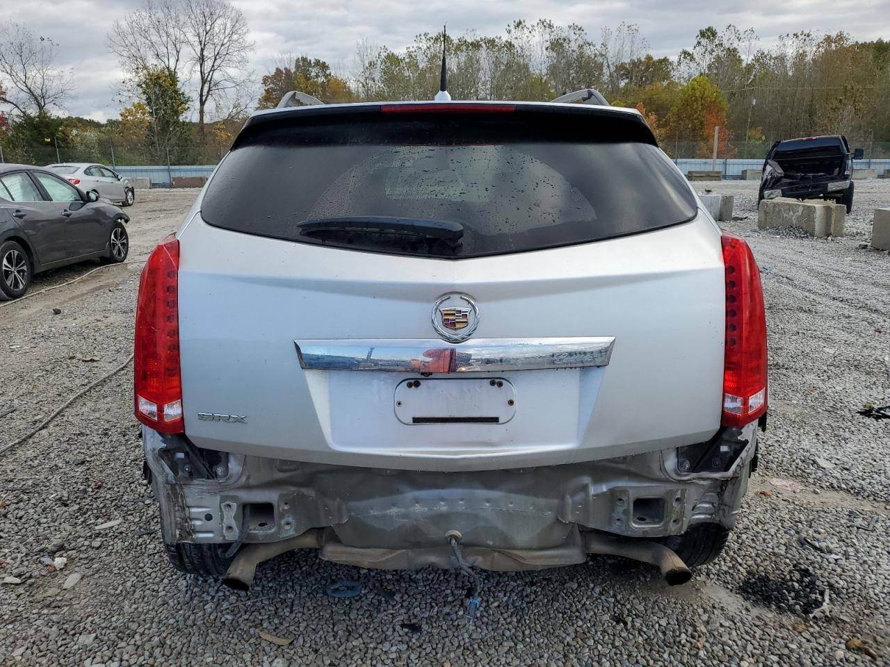 2010 Cadillac Srx Luxury Collection VIN: 3GYFNAEY2AS597656 Lot: 85954235