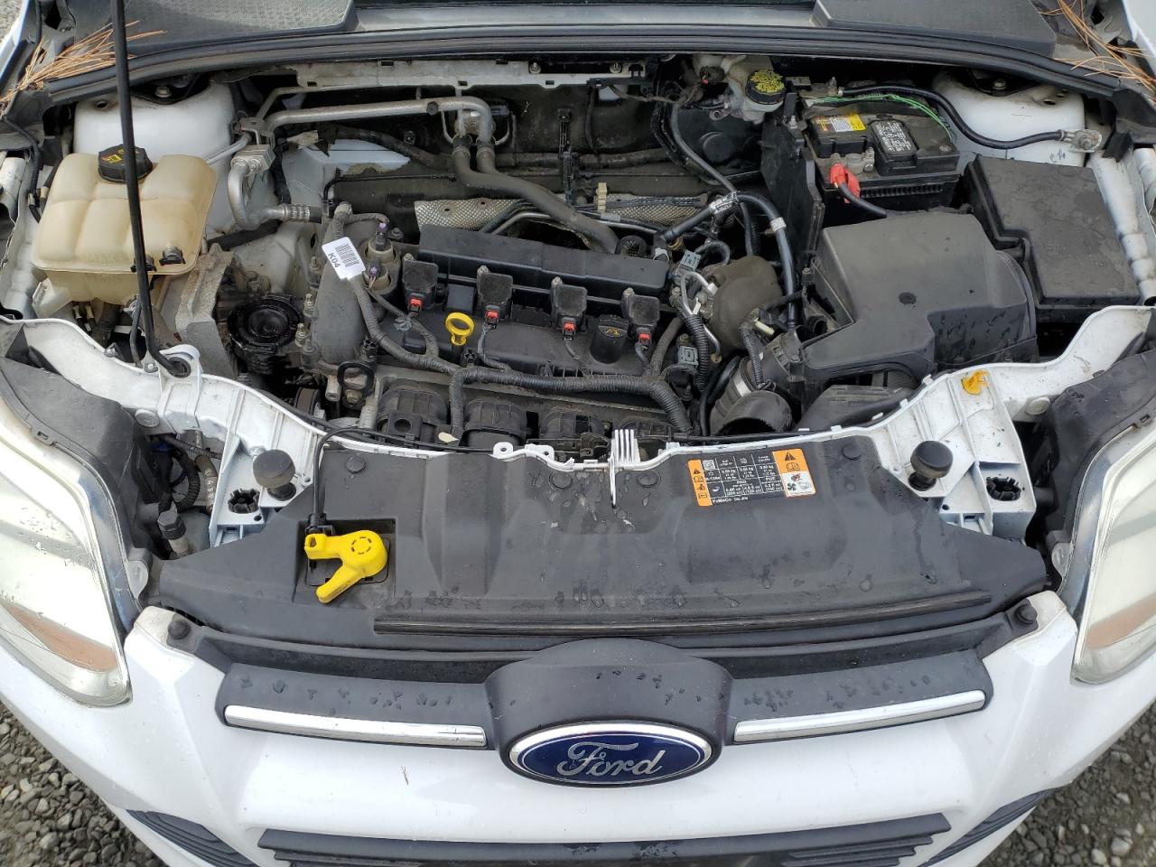 2014 Ford Focus Se VIN: 1FADP3K28EL391973 Lot: 85950345