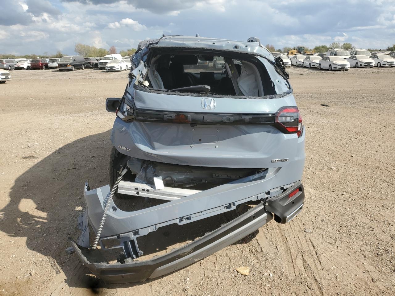 2024 Honda Pilot Touring VIN: 5FNYG1H74RB016710 Lot: 81991415