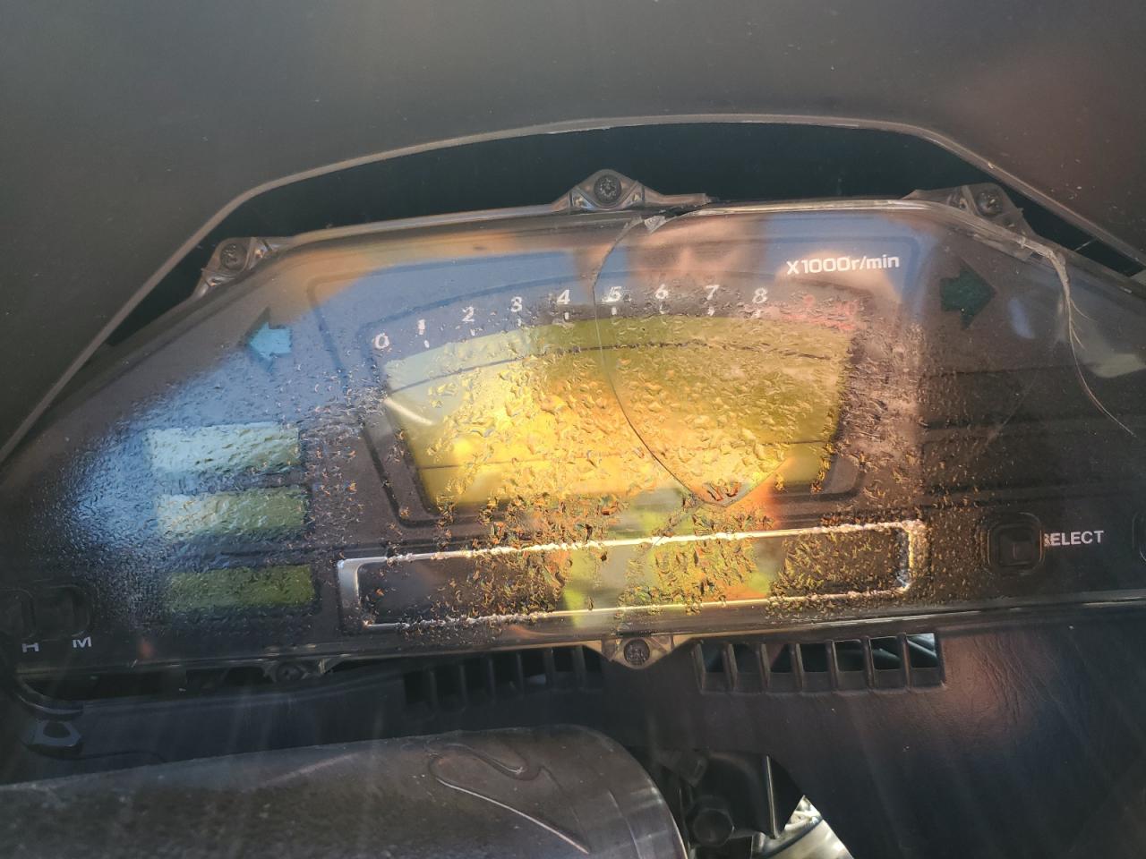 2007 Suzuki An650 VIN: JS1CP51A672102263 Lot: 85855675