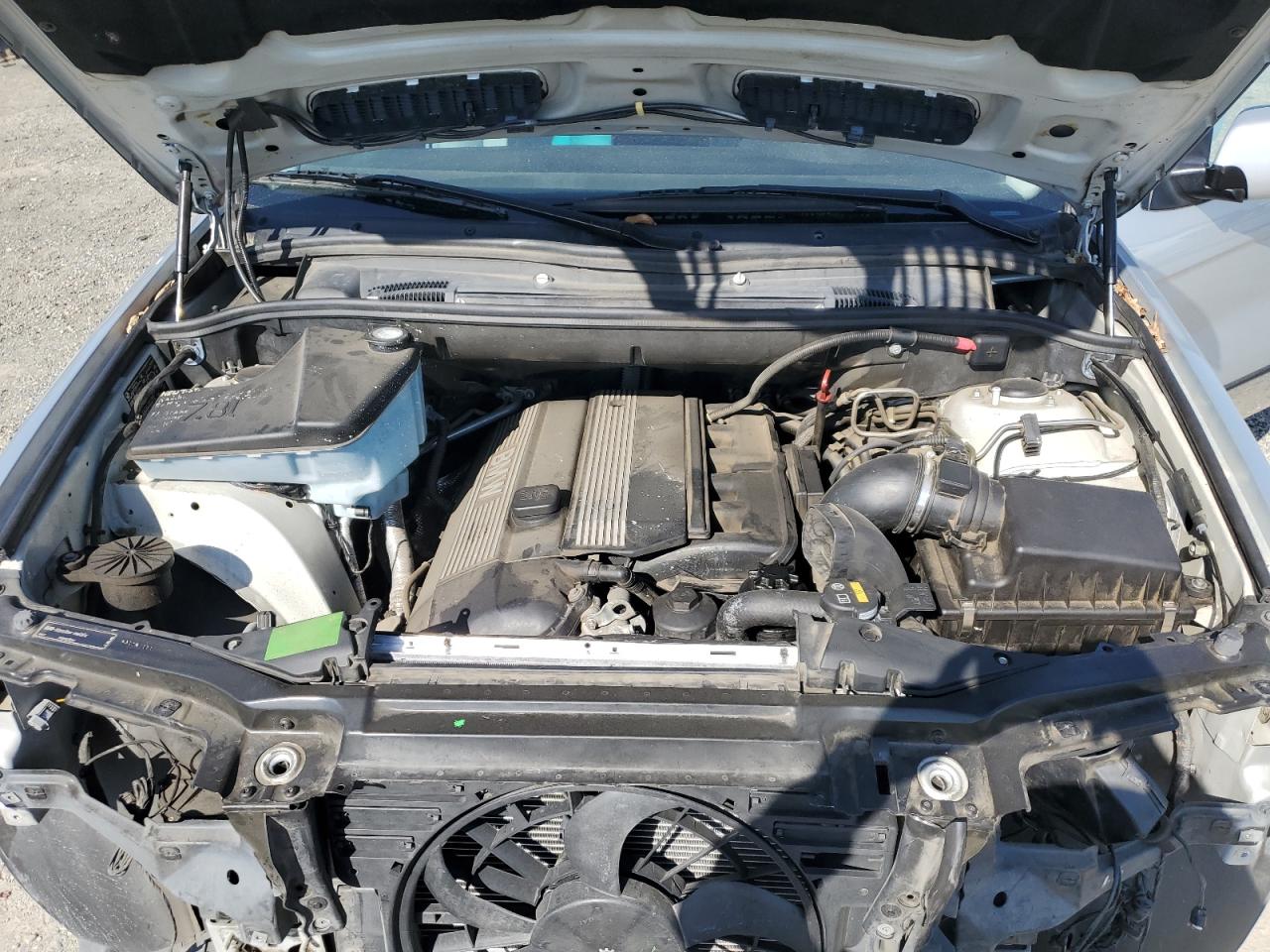 Фото: 5UXFA53583LV94365