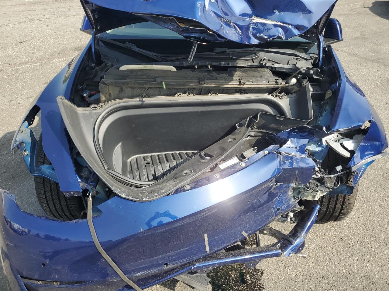 2022 Tesla Model Y VIN: 7SAYGDEF6NF537809 Lot: 90056955