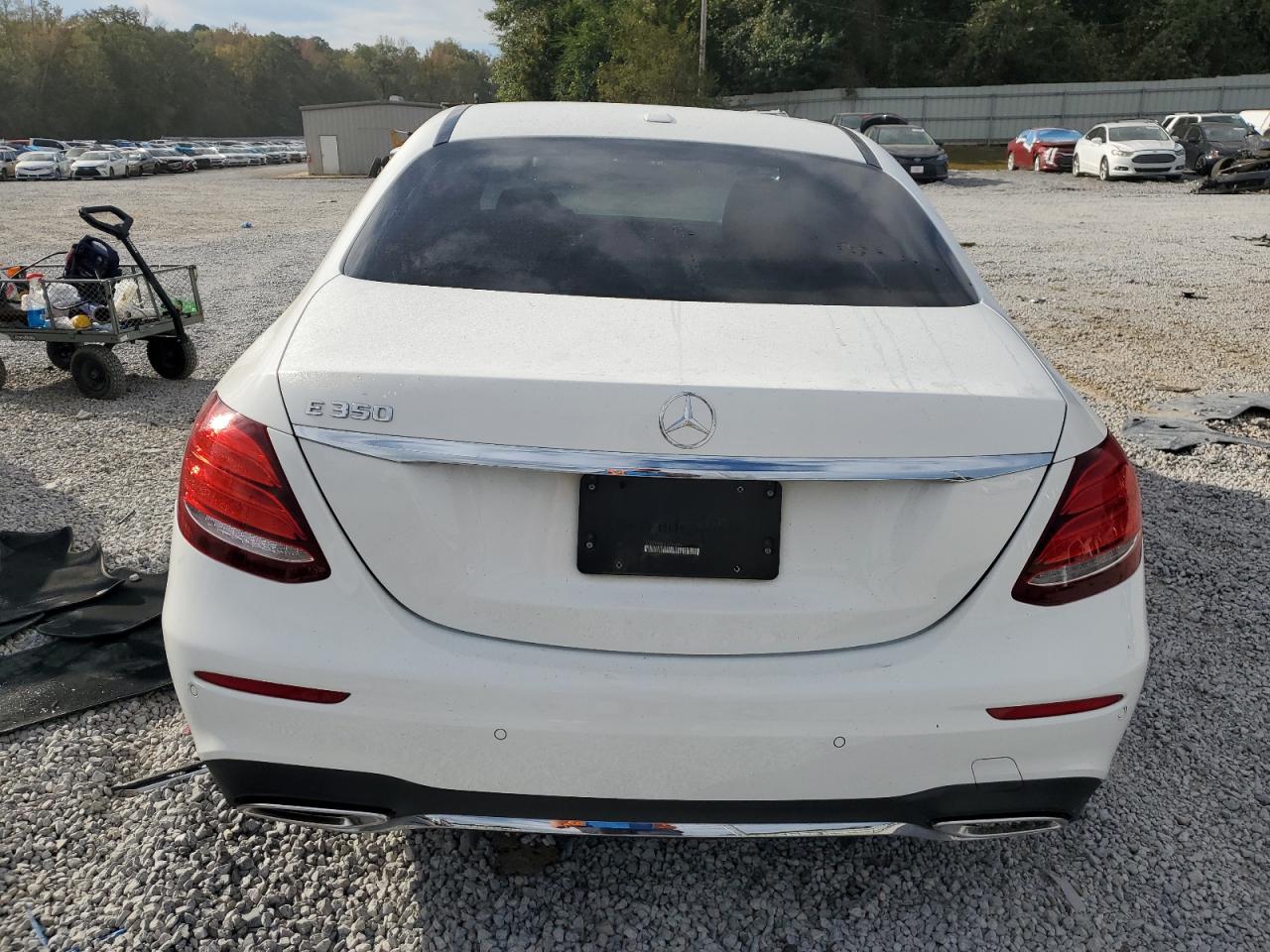 2020 Mercedes-Benz E 350 VIN: WDDZF8DBXLA755029 Lot: 87049545