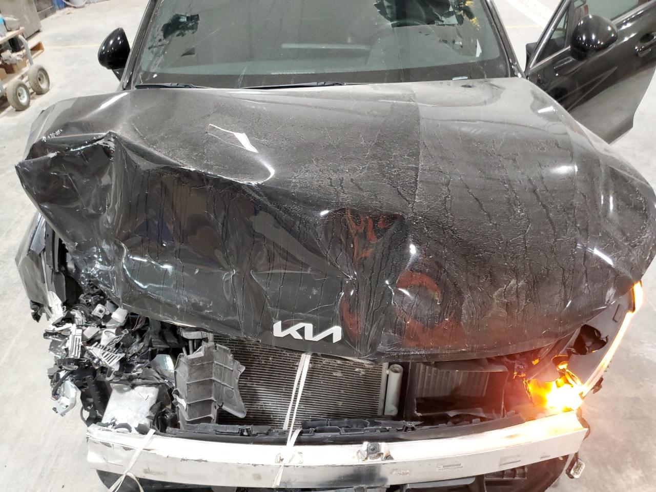 2022 Kia K5 Gt Line VIN: 5XXG64J29NG116503 Lot: 87442885