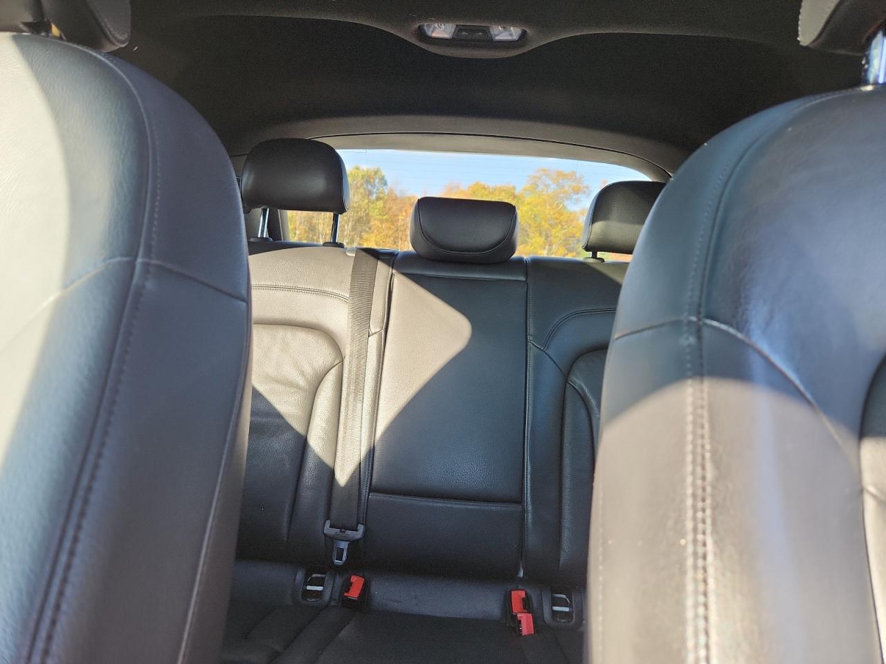 2015 Audi Q3 Premium Plus VIN: WA1EFCFS2FR010736 Lot: 86445405