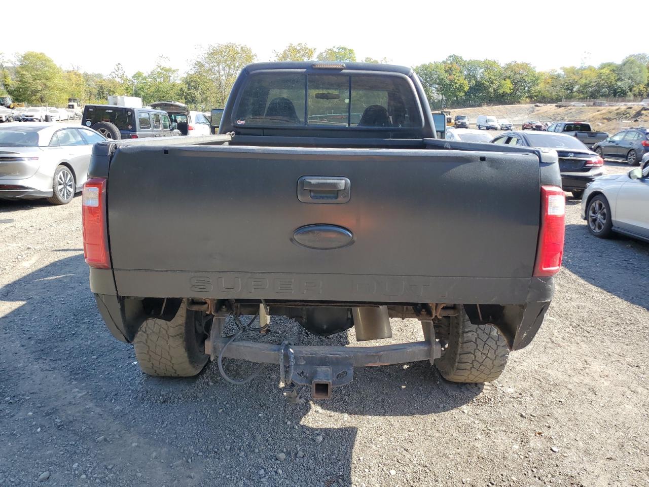 2001 Ford F250 Super Duty VIN: 1FTSX21P46EB76055 Lot: 85142075