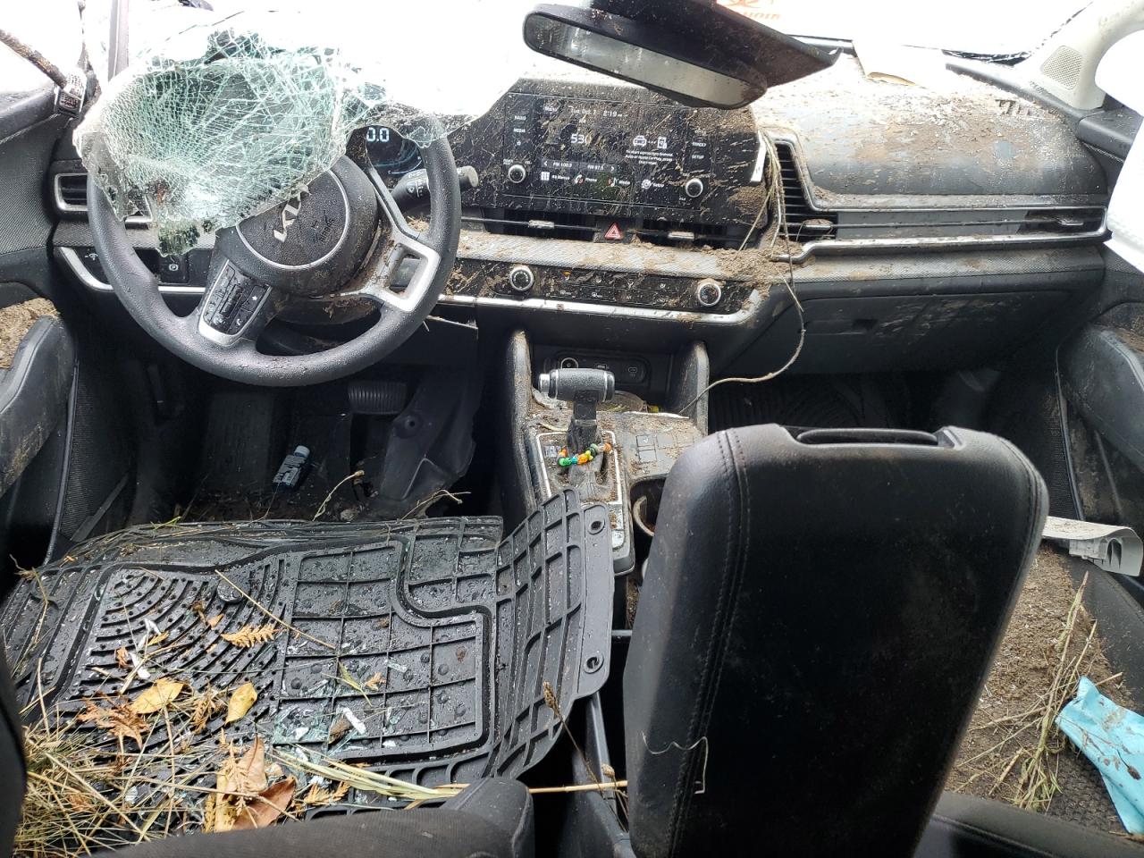 2023 Kia Sportage Lx VIN: KNDPUCAF1P7207814 Lot: 85305935