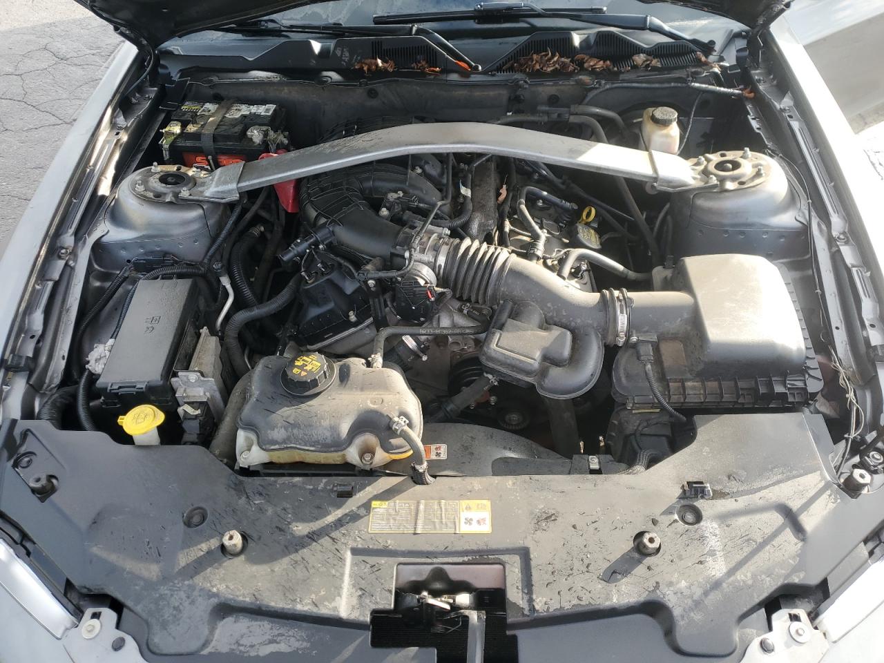 2012 Ford Mustang VIN: 1ZVBP8EM5C5264219 Lot: 85549305