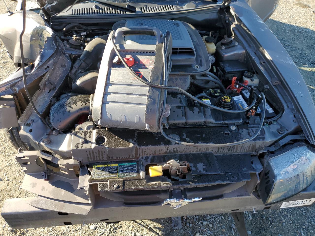 2003 Ford Mustang Mach I VIN: 1FAFP42R83F437311 Lot: 82539915