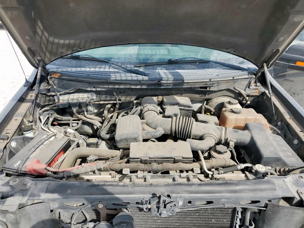 2010 Ford F150 Supercrew VIN: 1FTFW1CV6AFB61229 Lot: 85939555