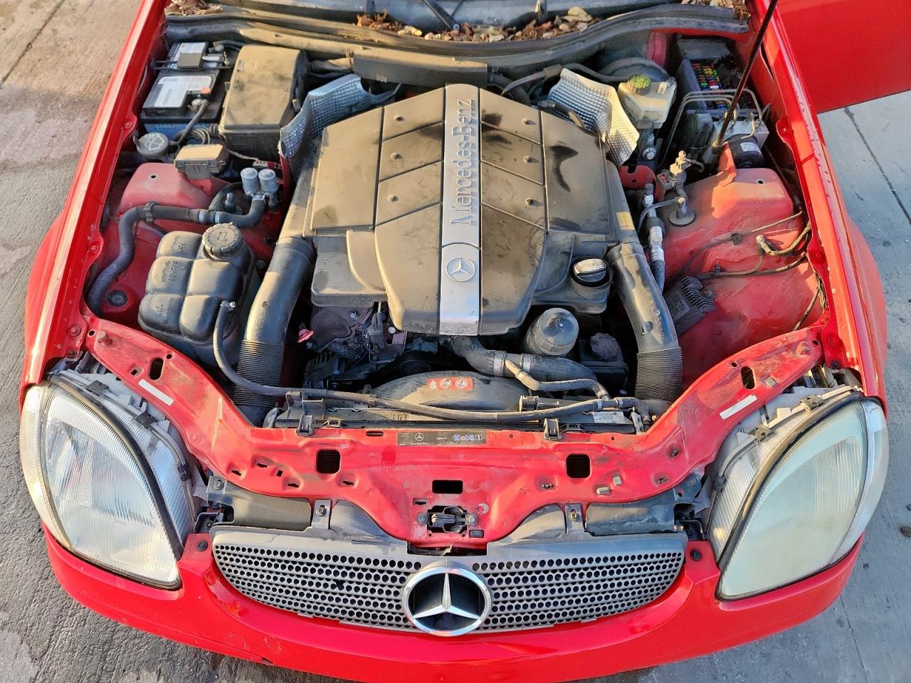 2004 Mercedes-Benz Slk 320 VIN: WDBKK65F64F307404 Lot: 84809255