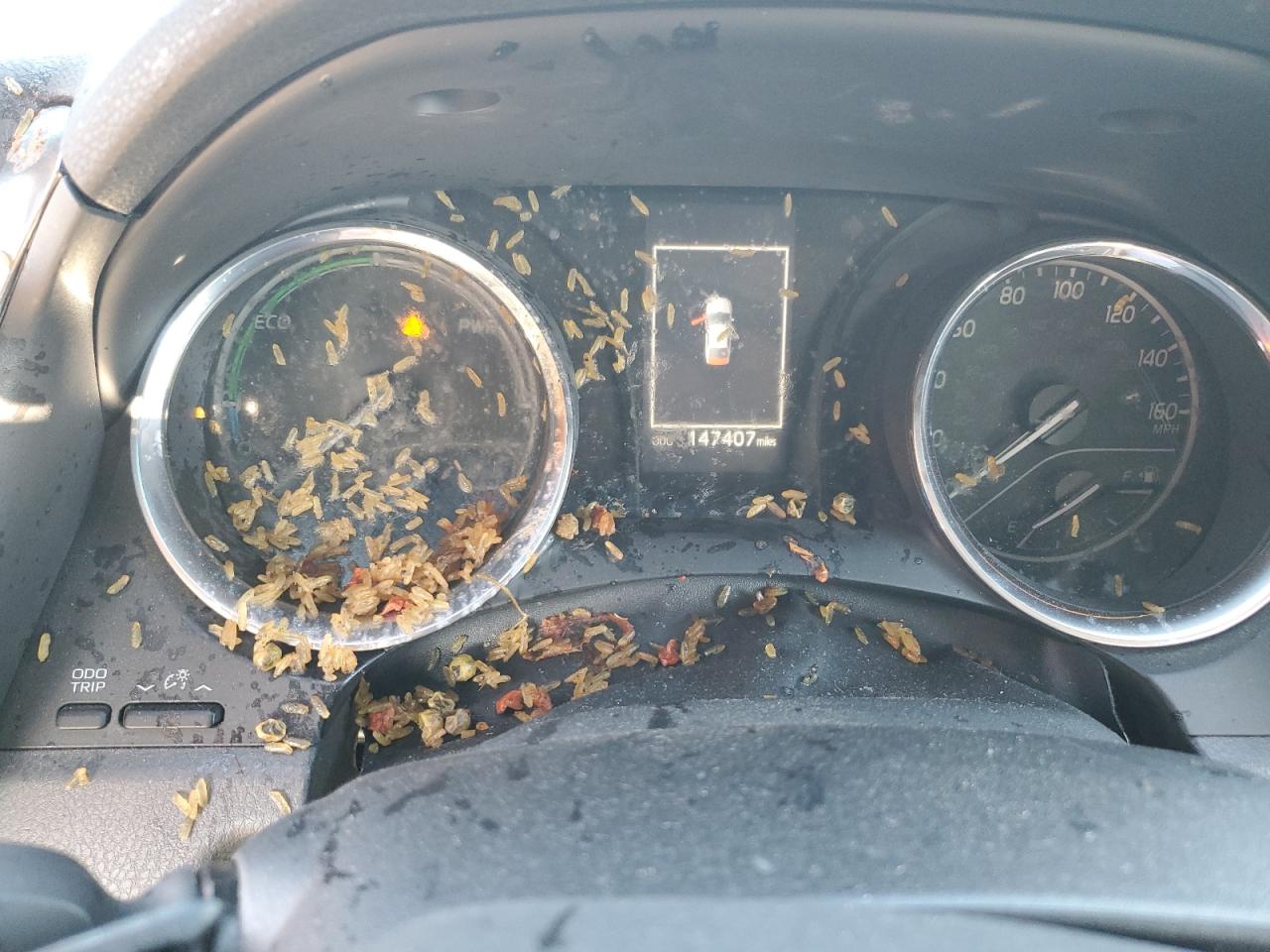 2020 Toyota Camry Se VIN: 4T1G31AKXLU525538 Lot: 82483915