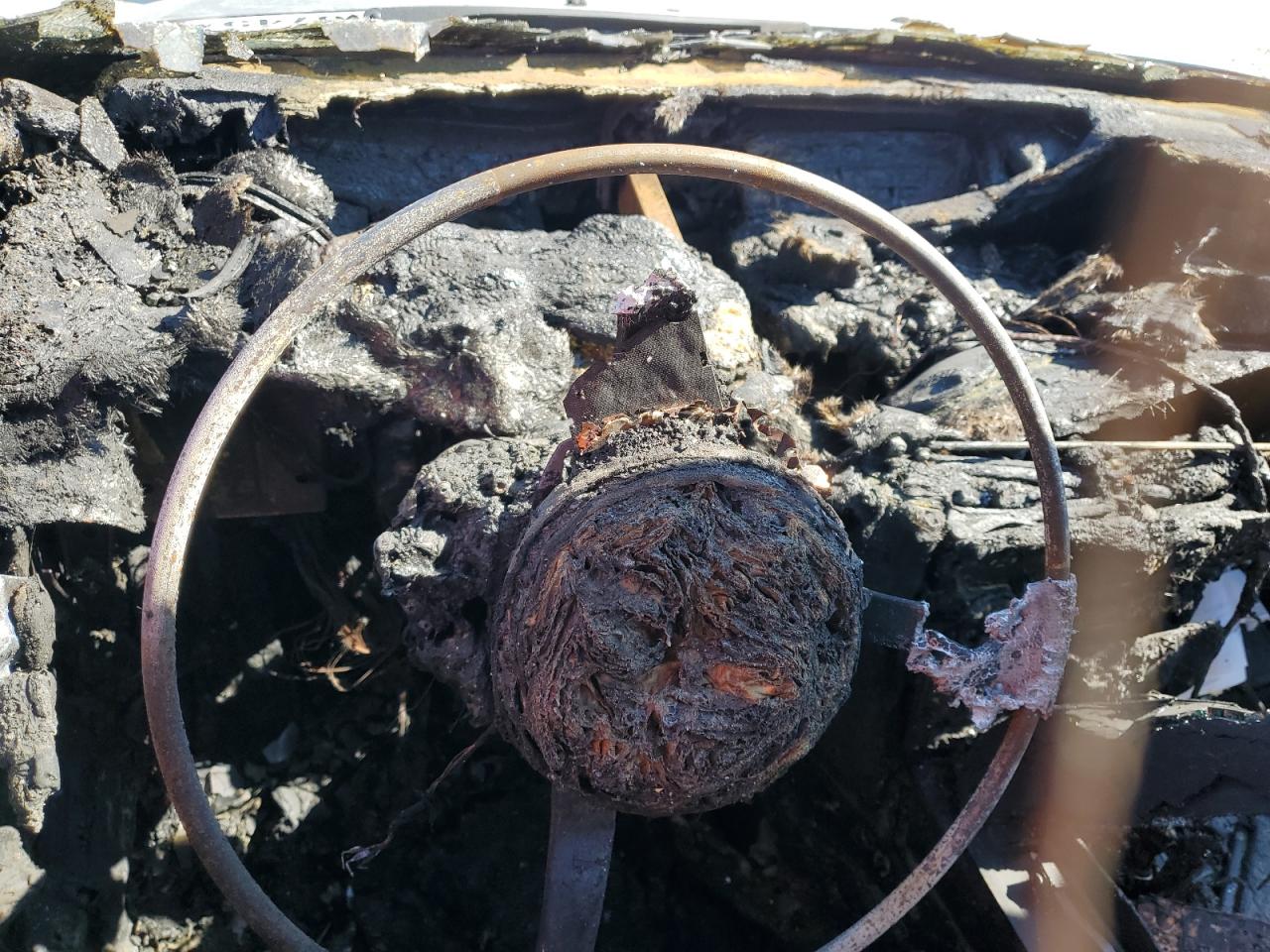 2007 BMW 530 I VIN: WBANE73547CM49498 Lot: 82186745