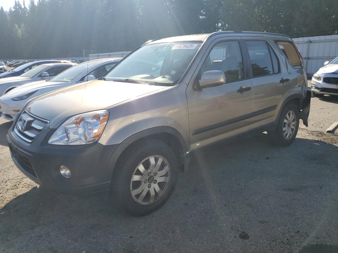 Фото авто