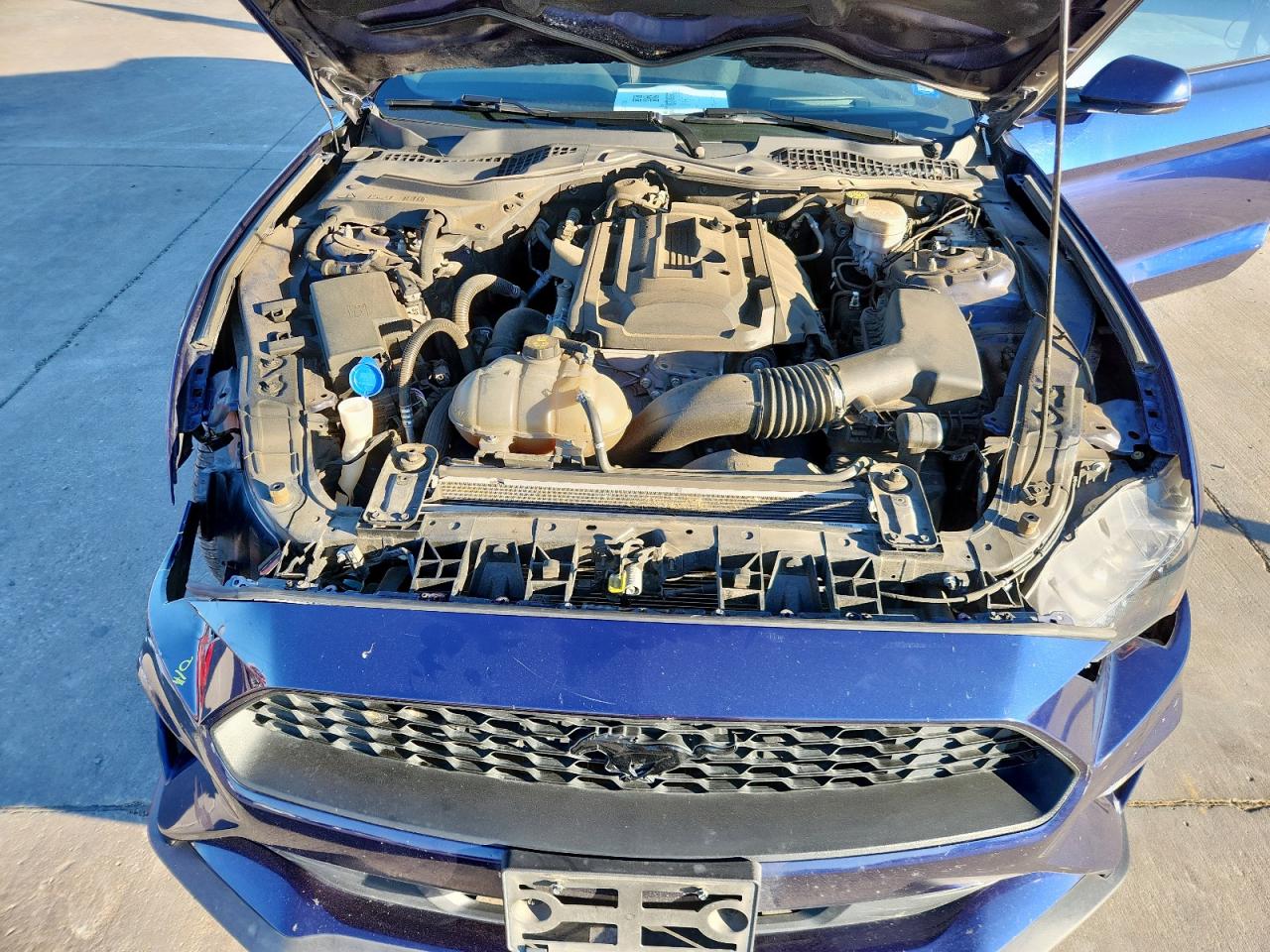 2020 Ford Mustang VIN: 1FA6P8TH1L5100854 Lot: 90025915