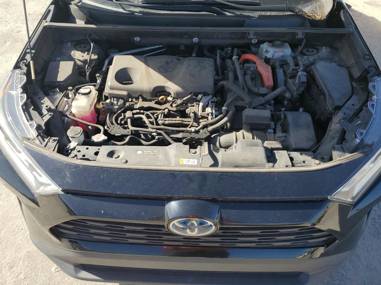 2021 Toyota Rav4 Xle Premium VIN: 4T3B6RFV0MU026582 Lot: 81987485