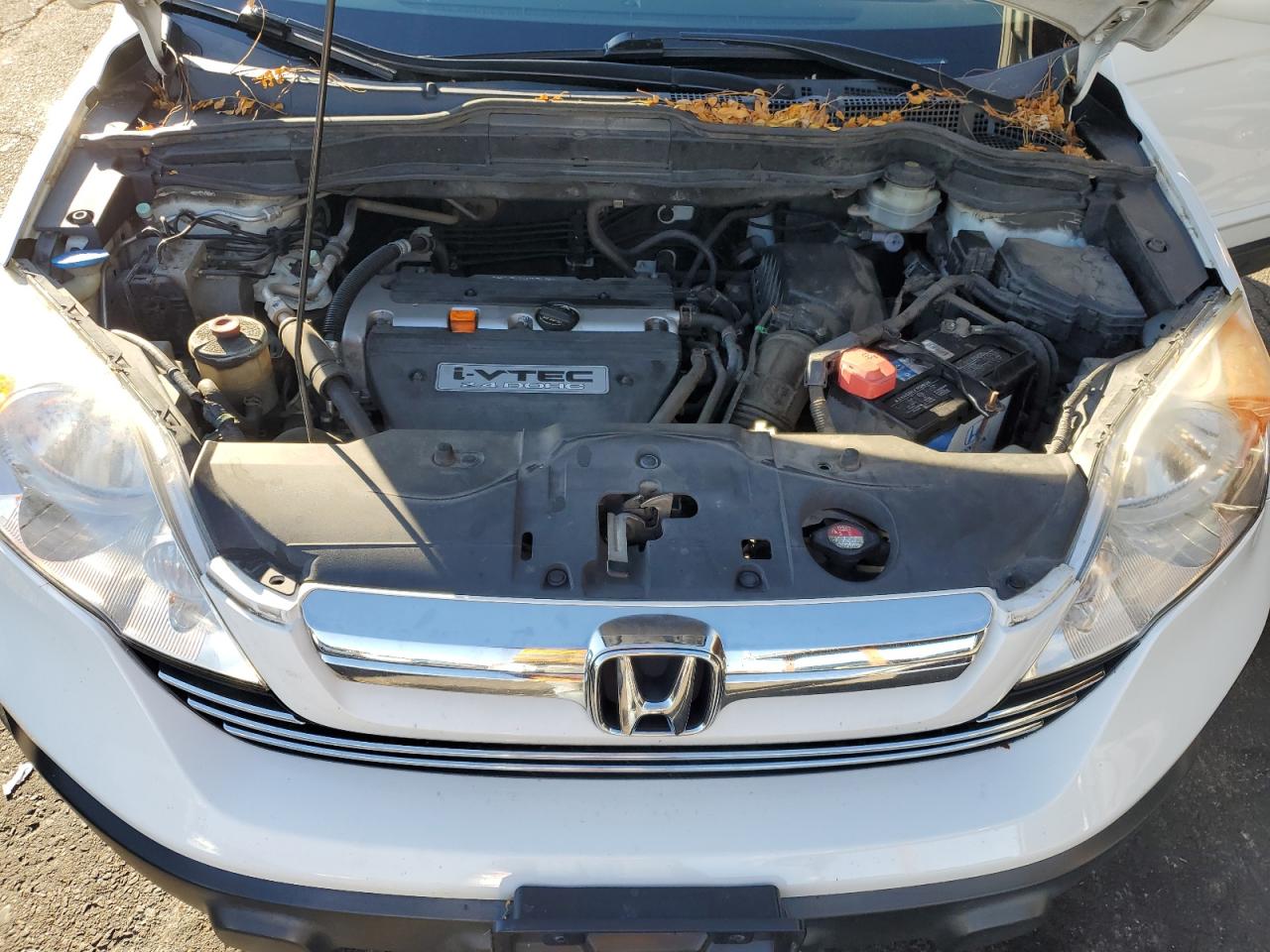 2007 Honda Cr-V Exl VIN: JHLRE48707C123102 Lot: 90823835