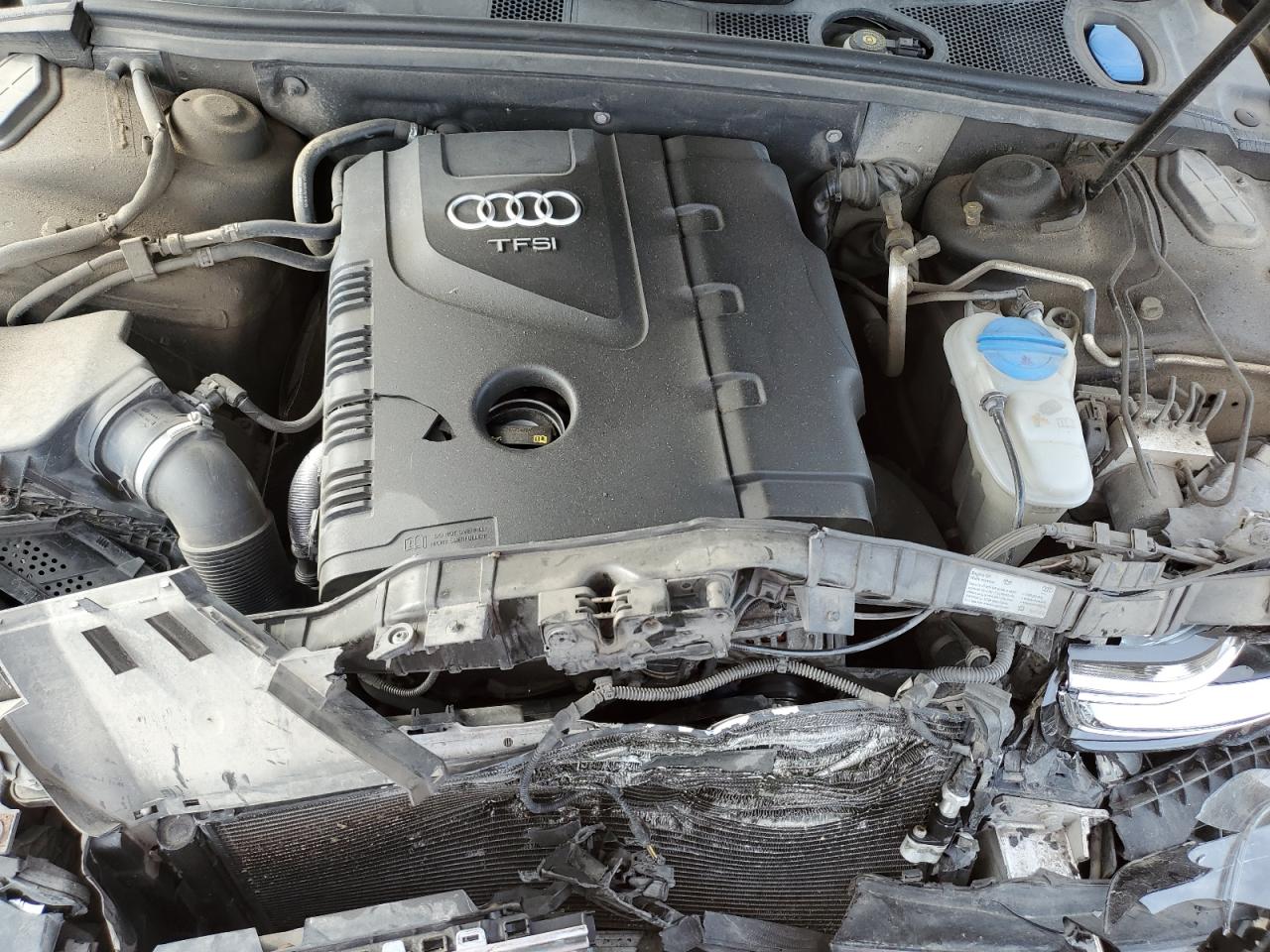 2016 Audi A4 Progressiv Plus VIN: WAUFFCFL1GN001678 Lot: 85083465