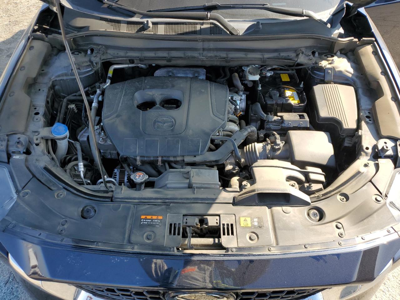 2024 Mazda Cx-5 Premium VIN: JM3KFBDM3R0396865 Lot: 90495445