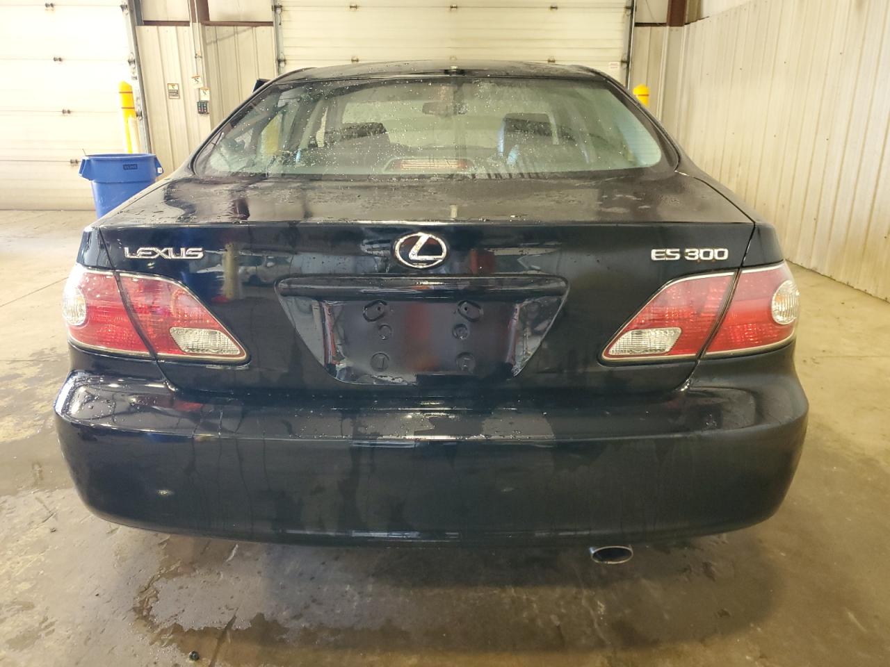 2002 Lexus Es 300 VIN: JTHBF30G325007423 Lot: 85704655