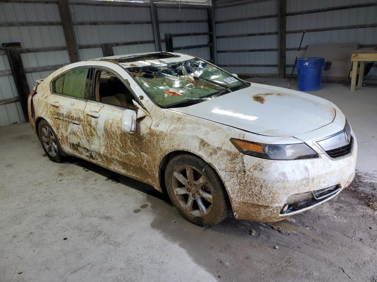 Фото: 19UUA8F25CA034036