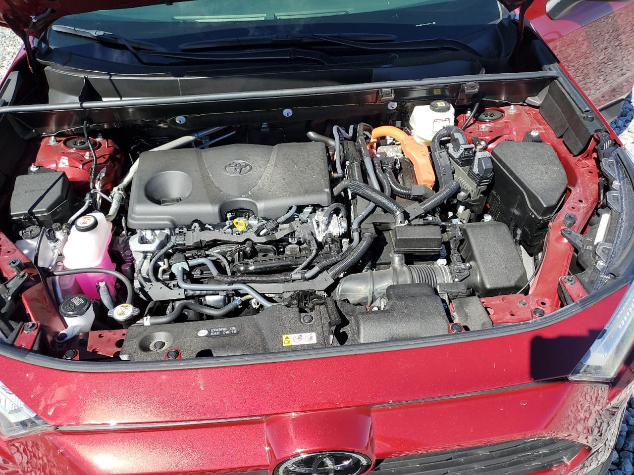 2025 Toyota Rav4 Le VIN: JTMLWRFVXSD294912 Lot: 86065745