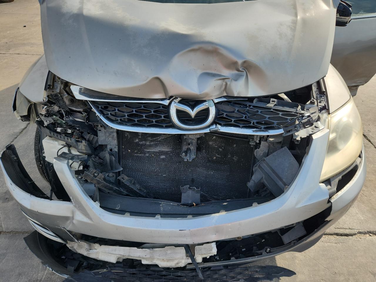 2010 Mazda Cx-9 VIN: JM3TB2MA8A0234983 Lot: 82732835