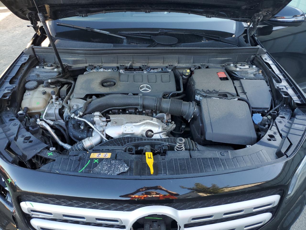 Фото: W1N4M4GB8LW022536