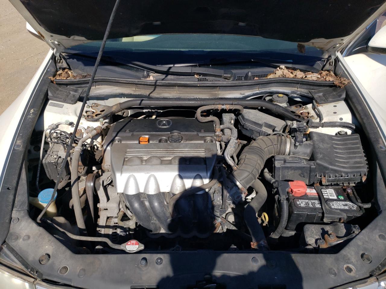 2010 Acura Tsx VIN: JH4CU2F6XAC043560 Lot: 86429045