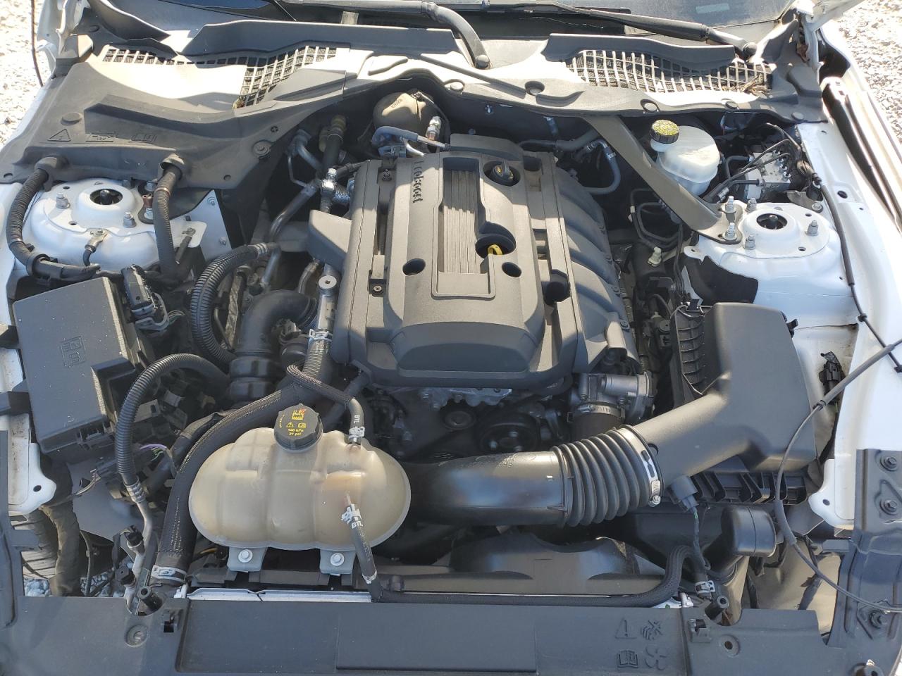 2019 Ford Mustang VIN: 1FA6P8TH0K5166245 Lot: 84460845