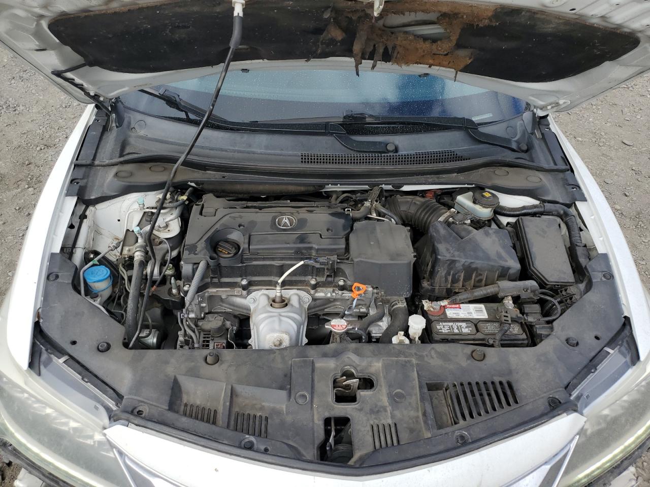 2018 Acura Ilx Base Watch Plus VIN: 19UDE2F31JA007925 Lot: 81933325